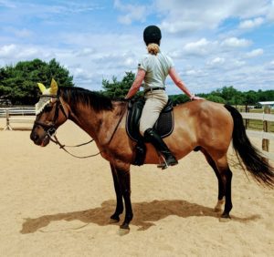 Horseback yoga lesson: torso twist to haunches