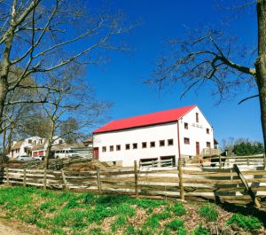North Road Farm Airbnb, Fremont NH in spring time